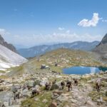 Bergsee, Sandessee, Tribulaun Hütte, Ziegen
