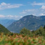 Gfrill, Roccolo del Sauch, Südtiroler Unterland, Unterland