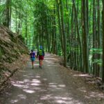 wandern