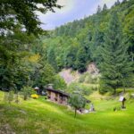 Hütte, baita, cabana, cabin, capanna, chalet, hut