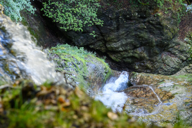 Der Rio Fai entspringt bei Fai della Paganella (östlich des Ortes, am Hang der Paganella) und mündet in den Avisio bei Mezzolombardo.