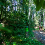 Sentiero dei Reti, wandern