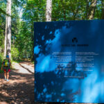Infotafel, Parco del Respiro, Waldpark