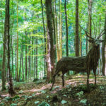 Dammwild, Geweihträger, Hirsch, Hirsche, Rotwild, Skulptur, cervidae, cervo, deer, hart