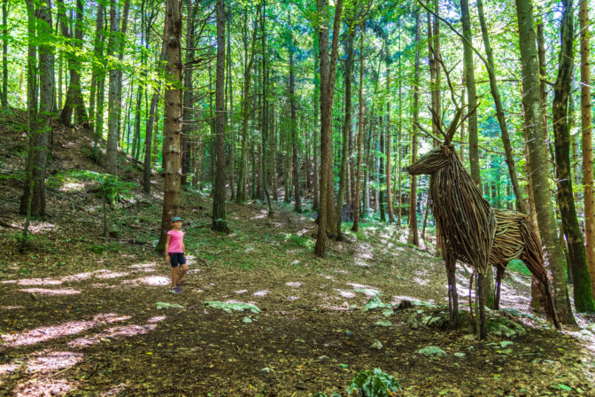 Ein Hirsch am Wegesrand