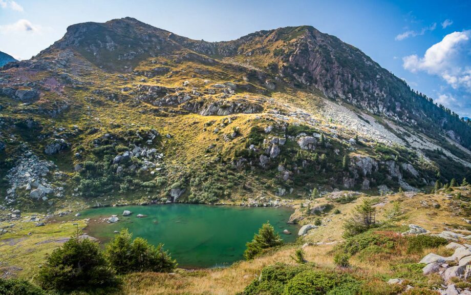 Bergsee, Lago delle Trute, See