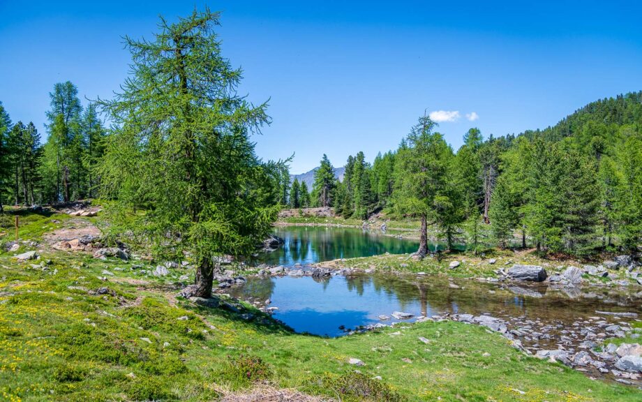 Bergsee, Zirmtalsee