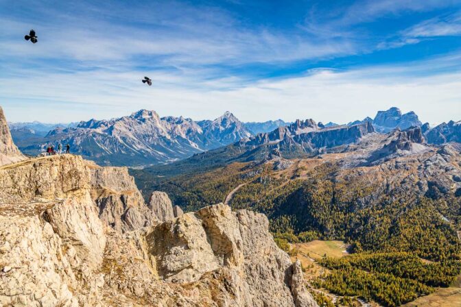Alpendohle über den Ampezzaner Dolomiten