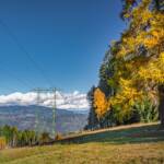 Herbst, Kohlern, Lärchen, Schneider Wiesen, autumn, autunno