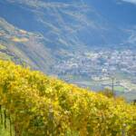 Ausblick Seit, Leifers