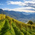 Ausblick Seit, Leifers, Südtiroler Unterland, Unterland