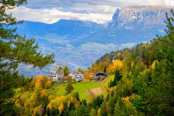 20251026141847-DSC_1822