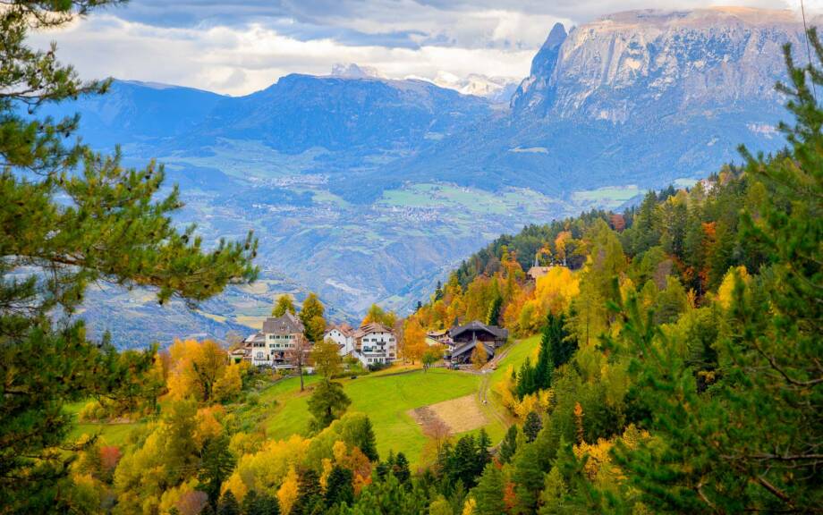 20251026141847-DSC_1822