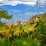 Bauernkohlern, Herbst, Kohlern, autumn, autunno