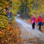 Anna, Anni, Herbst, Kohlern, autumn, autunno, wandern