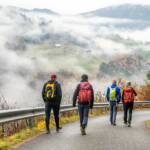 Herbst, Nebel, Völser Aicha, autumn, autunno, wandern