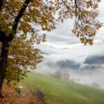 Herbst, Nebel, Tierser Tal, autumn, autunno