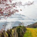Herbst, Nebel, Unteraicha, autumn, autunno