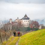 Herbst, Nebel, Oachner Höfeweg, Schloss Prösels, Völser Höfeweg, autumn, autunno, wandern