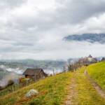 Herbst, Nebel, Oachner Höfeweg, Schloss Prösels, Völs, Völs am Schlern, Völser Höfeweg, autumn, autunno, wandern