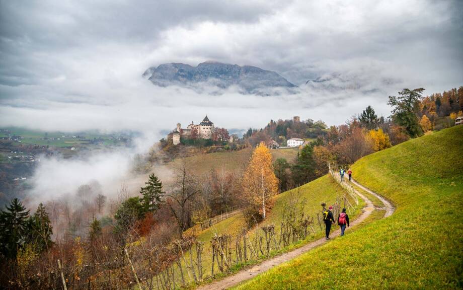 Nebel, Oachner Höfeweg, Schloss Prösels, Völser Höfeweg, wandern
