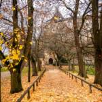 Herbst, Schloss Prösels, autumn, autunno
