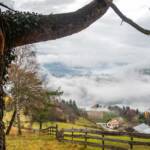 Herbst, Nebel, Schnaggenkreuz, Völs, Völs am Schlern, autumn, autunno