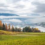 Herbst, Nebel, Völs, Völs am Schlern, autumn, autunno