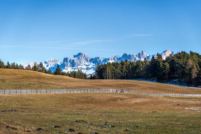 20251226123848-DSC_4081