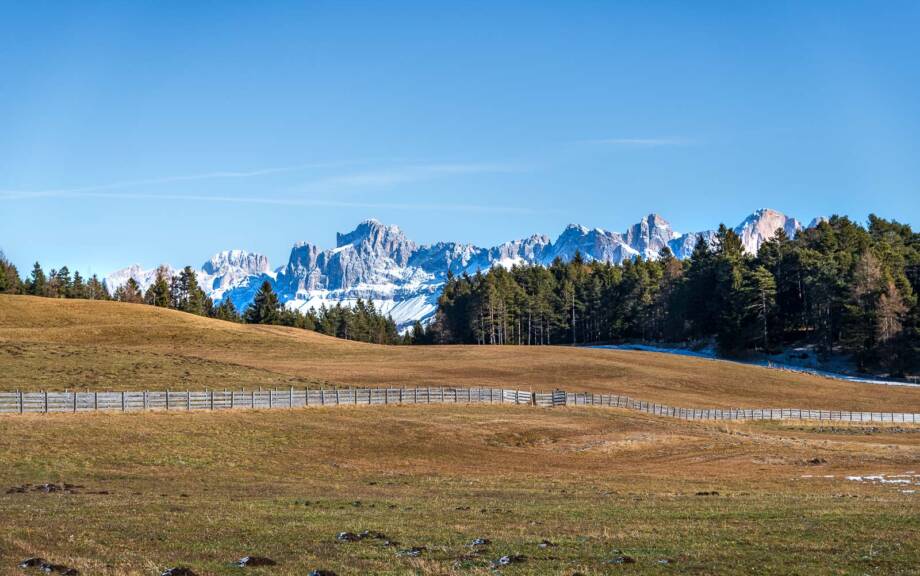 20251226123848-DSC_4081