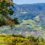 Barbian, Baum, Bäume, Herbst, albero, autumn, autunno, tree