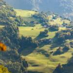 Castelrotto, Kastelruth, Wiese