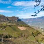 Graun, Kurtatsch, Penon