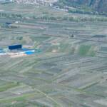 Apfelbaumblüte, Apfelblüte, Apfelplantagen, Obstgenossenschaft Roen, apple blossom