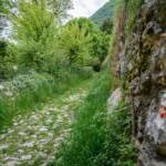 Wanderweg, sentiero