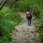 Saumweg, wandern