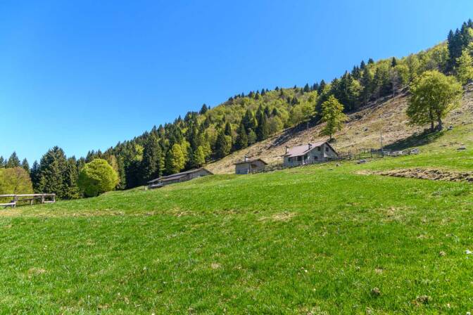 Die Alm "Malga Misone"