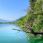 Kalterer See, Kalterersee, Termeno, Tramin