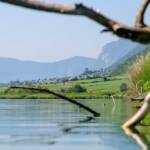 Kalterer See, Kalterersee, Termeno, Tramin