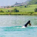 Freizeit, Kalterer See, Kalterersee, Sport, Termeno, Tramin, baden, bathing, nuotare, schwimmen, sports, swimming