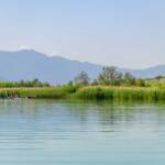 Kalterer See, Kalterersee, Steg