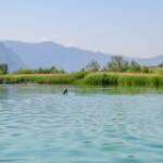 Freizeit, Kalterer See, Kalterersee, Sport, Steg, baden, bathing, nuotare, schwimmen, sports, swimming
