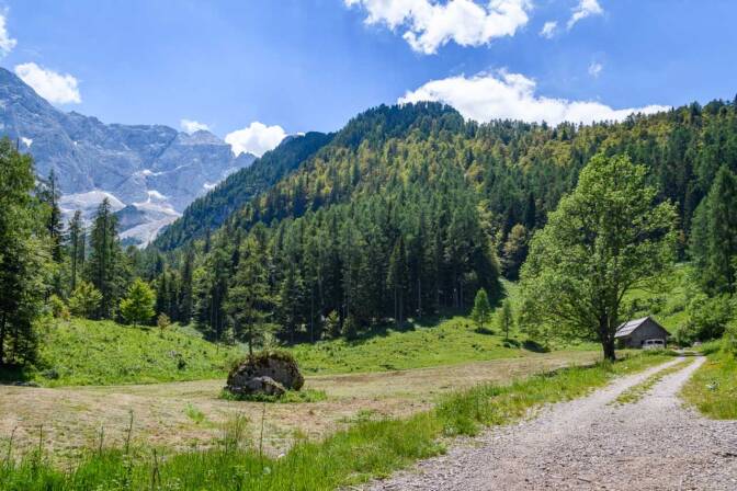 Die Alm Stularjeva planina mitten in den Steiner Alpen