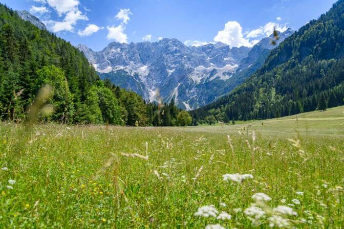 Ausblick auf die Gipfel Dolgi Hrbet und Ravenska kočna in den slowenischen Steiner Alpen