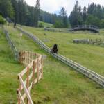 Kaiserburg Bob, Rollbobbahn, Sommerrodelbahn