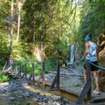 Brücke, Gnoppnitzbach, Wassererlebnisweg Gnoppnitzbach