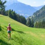 Almmatte, Almwiese, Almwiesen, Alpe