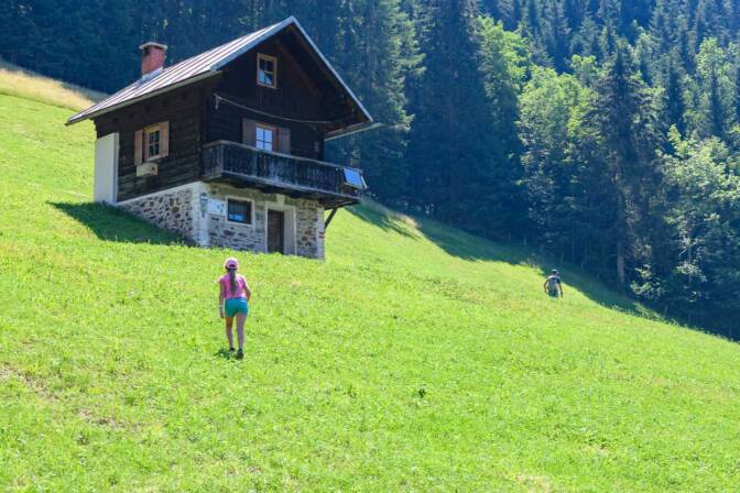 Eine Zuhube auf der Heregger Alm