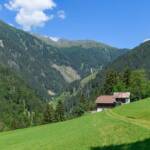 Almmatte, Almwiese, Almwiesen, Alpe