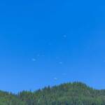 Paragleiter, Paraglider